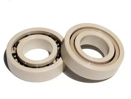 PEEK Bearings