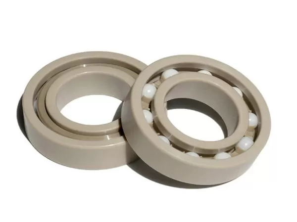 PEEK Bearings